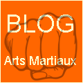 blog arts martiaux